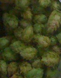2 Tread Brewing Co