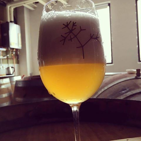 Speciation Artisan Ales