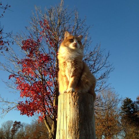 Gruhlke'S Microbrewery-Bias Vineyards