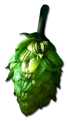 Idylwilde Brewing