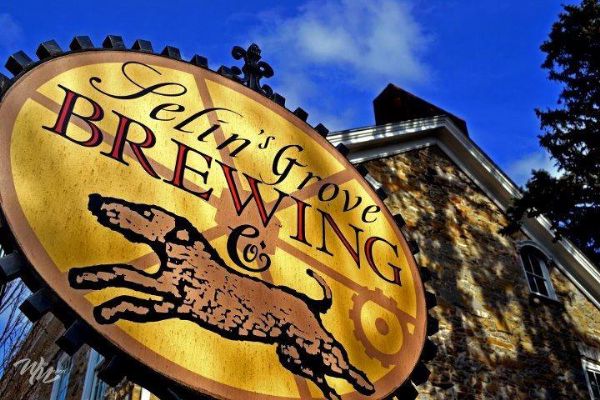 Selin's Grove Brewing Company