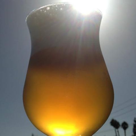 Southland Brewing Company